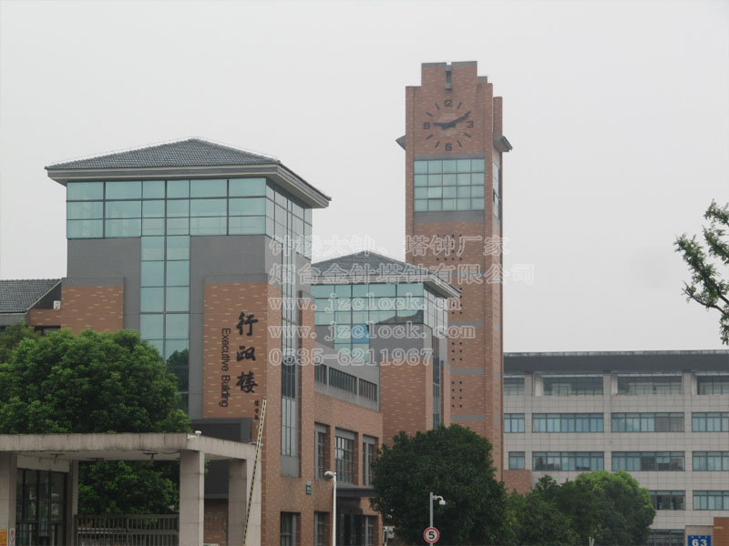 這是一座大鐘與建筑融為一體的建筑塔鐘，以建筑的墻體為鐘面